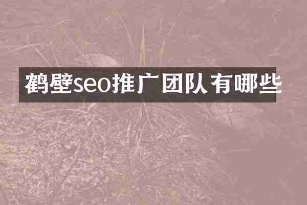 鹤壁seo推广团队有哪些