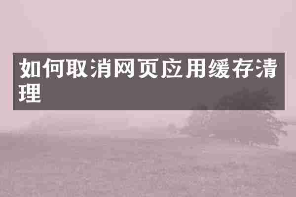 如何取消网页应用缓存清理