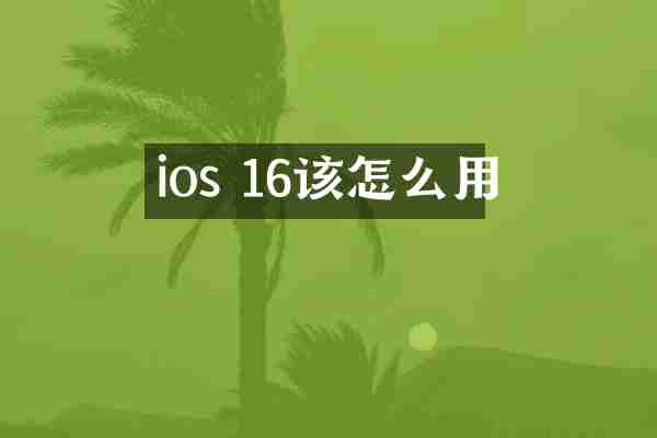ios 16该怎么用
