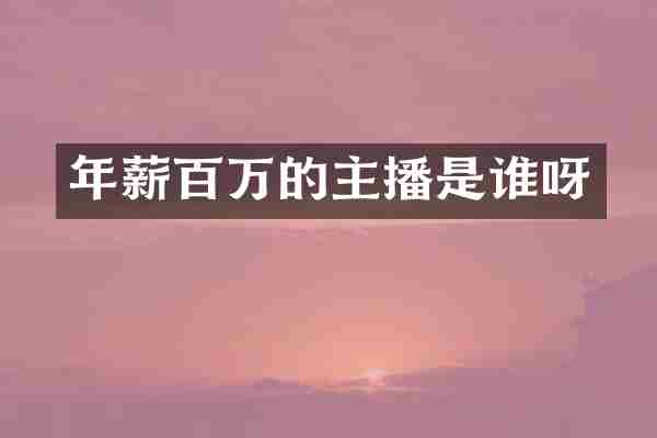 年薪百万的主播是谁呀