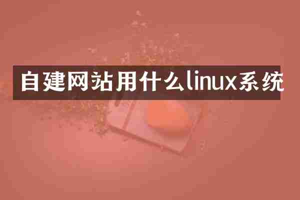 自建网站用什么linux系统