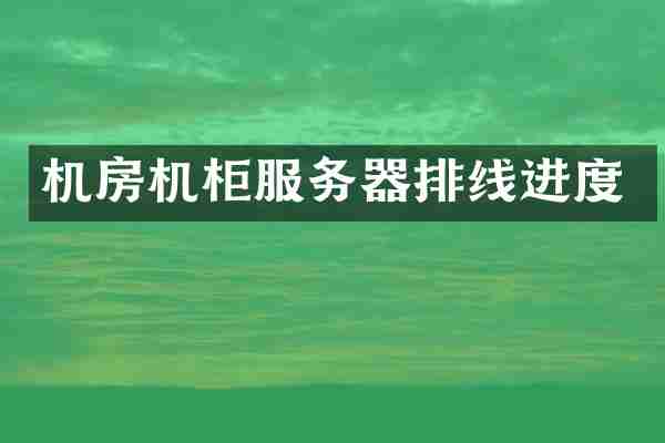 机房机柜服务器排线进度