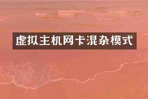 虚拟主机网卡混杂模式