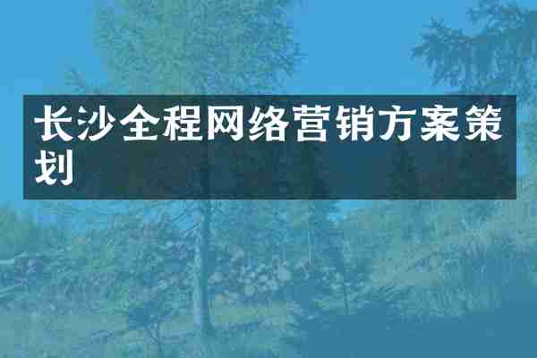 长沙全程网络营销方案策划