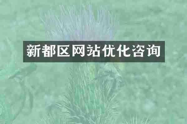 新都区网站优化咨询