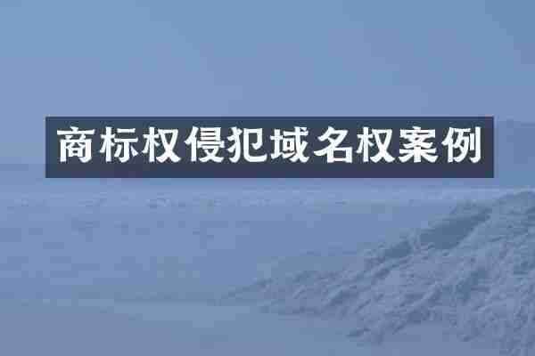 商标权侵犯域名权案例