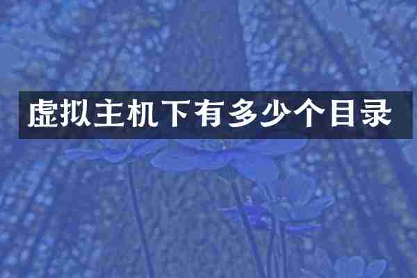 虚拟主机下有多少个目录