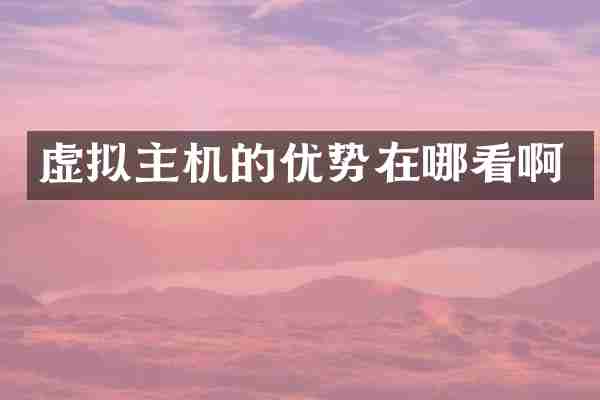 虚拟主机的优势在哪看啊