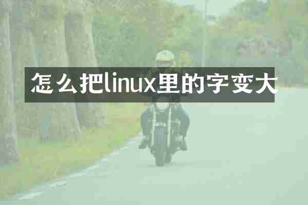 怎么把linux里的字变大