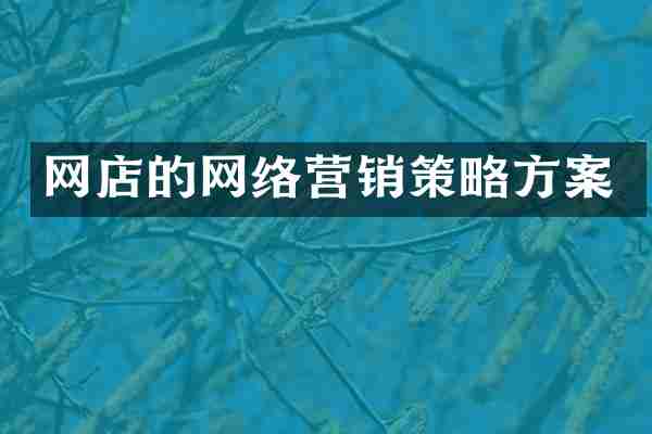 网店的网络营销策略方案