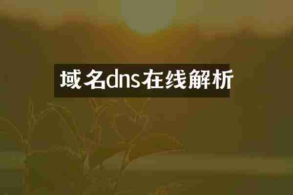 域名dns在线解析