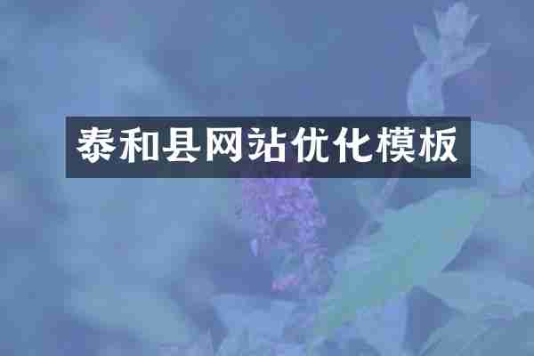 泰和县网站优化模板