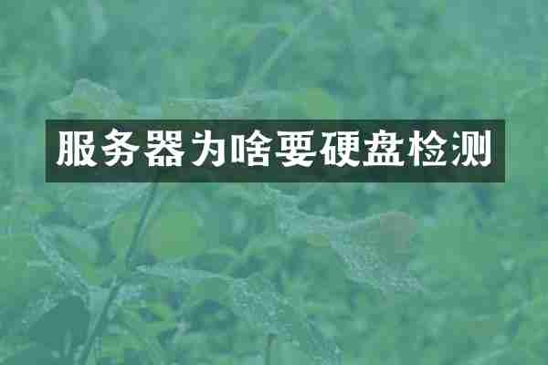 服务器为啥要硬盘检测