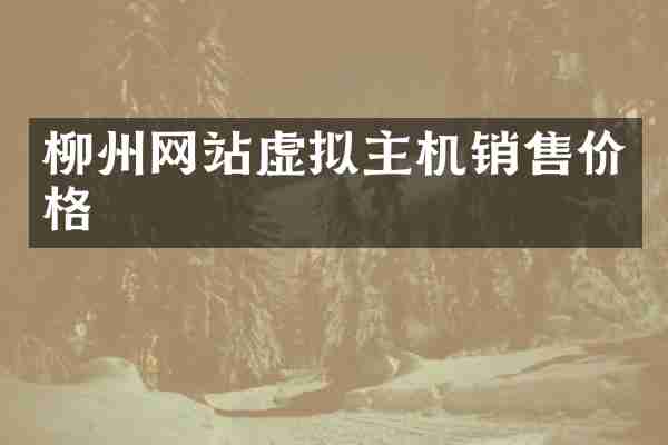 柳州网站虚拟主机销售价格