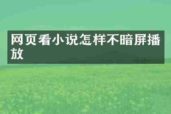 网页看小说怎样不暗屏播放