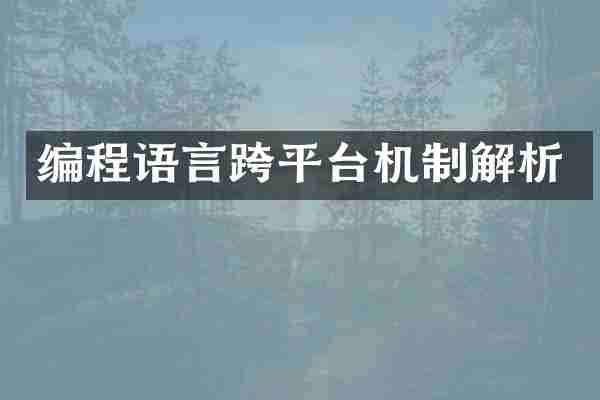 编程语言跨平台机制解析