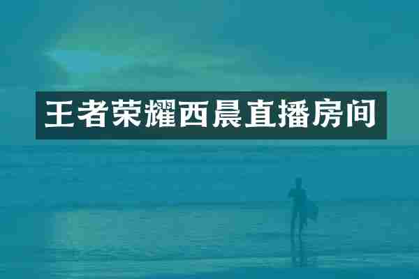 王者荣耀西晨直播房间