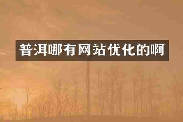 普洱哪有网站优化的啊