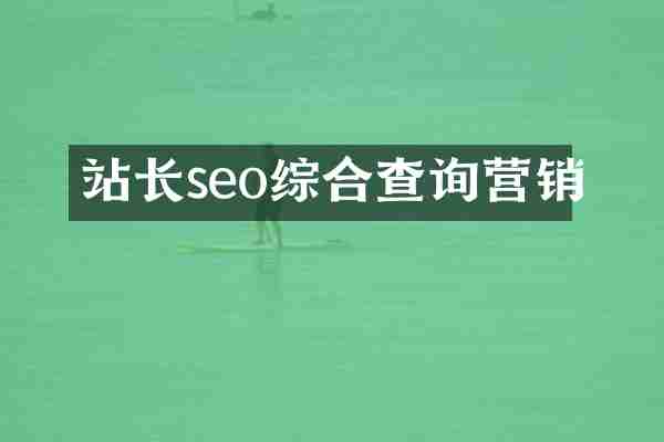 站长seo综合查询营销