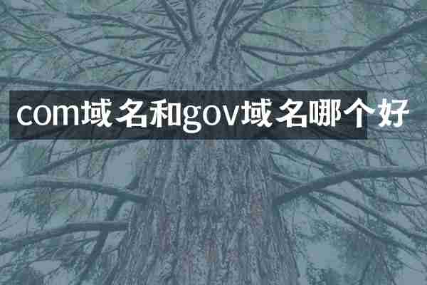 com域名和gov域名哪个好