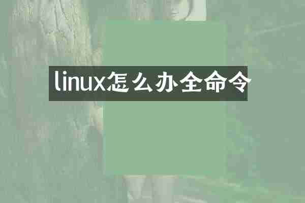 linux怎么办全命令