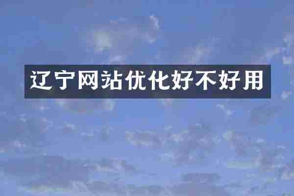 辽宁网站优化好不好用