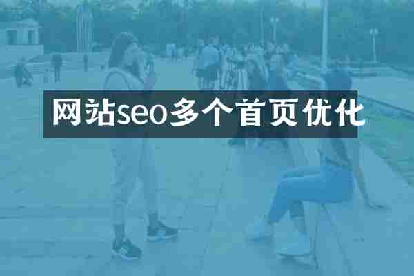 网站seo多个首页优化