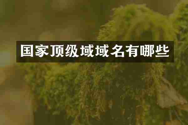 国家顶级域域名有哪些