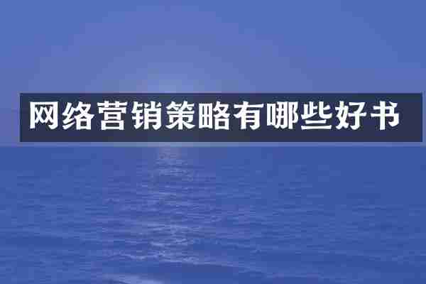 网络营销策略有哪些好书