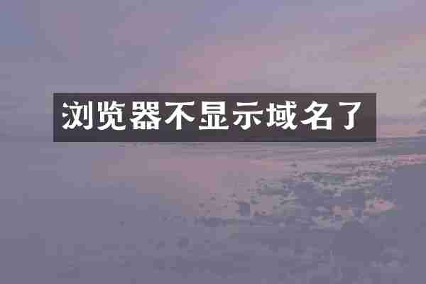 浏览器不显示域名了