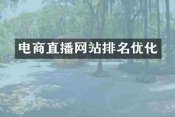 电商直播网站排名优化