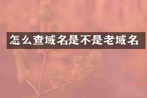 怎么查域名是不是老域名