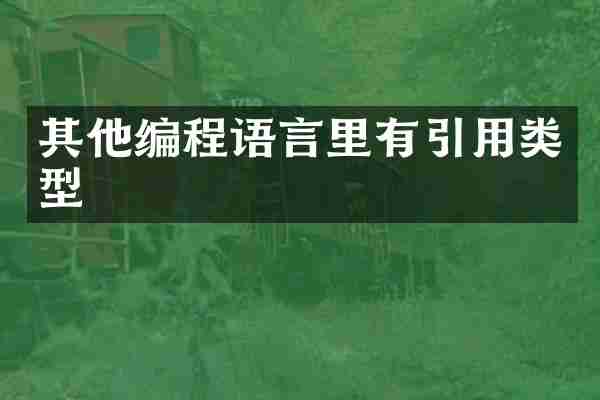 其他编程语言里有引用类型