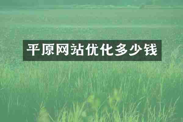平原网站优化多少钱