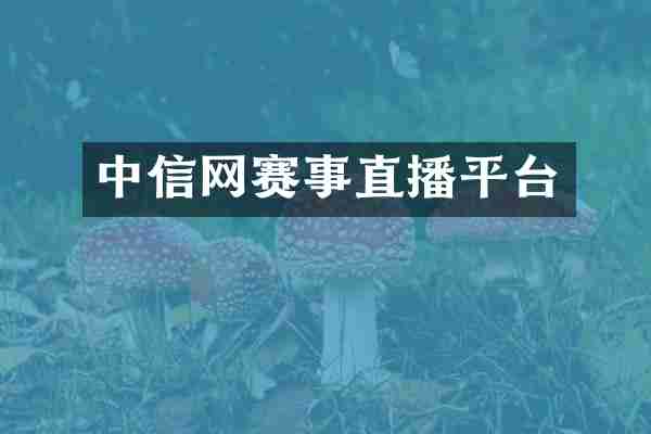 中信网赛事直播平台