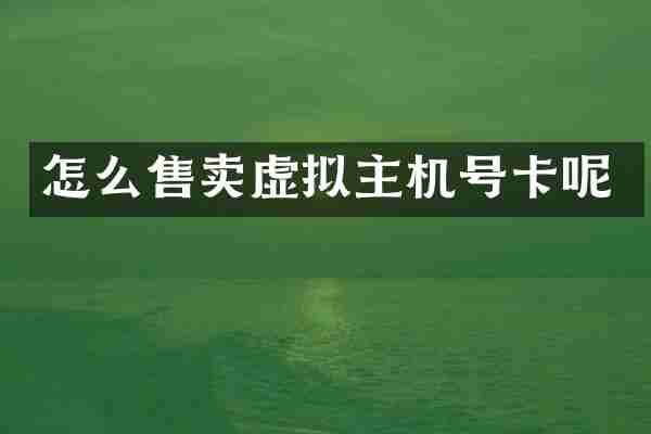 怎么售卖虚拟主机号卡呢
