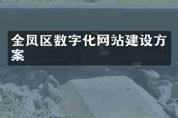 金凤区数字化网站建设方案