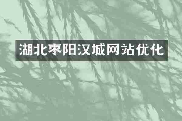 湖北枣阳汉城网站优化