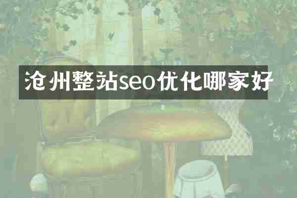 沧州整站seo优化哪家好