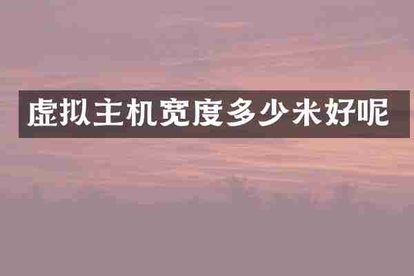虚拟主机宽度多少米好呢