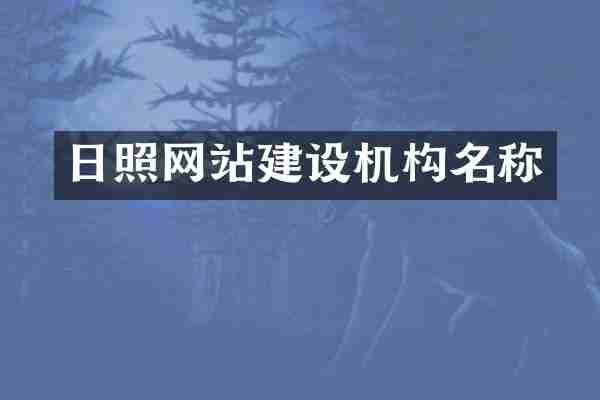 日照网站建设机构名称