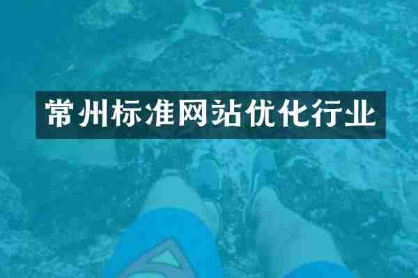 常州标准网站优化行业
