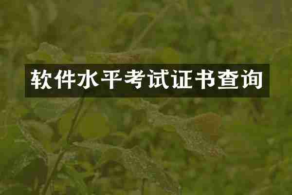 软件水平考试证书查询