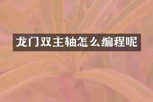 龙门双主轴怎么编程呢