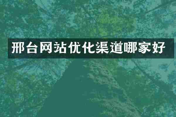 邢台网站优化渠道哪家好