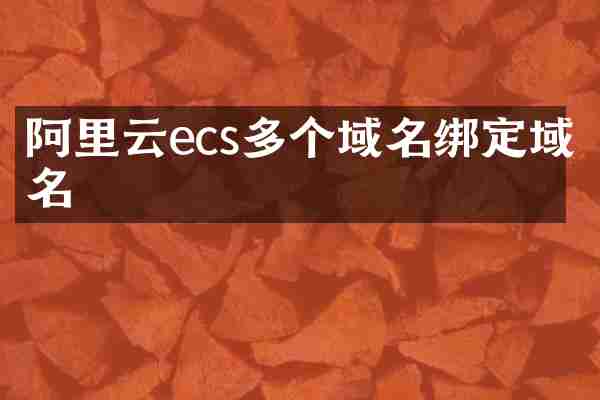 阿里云ecs多个域名绑定域名