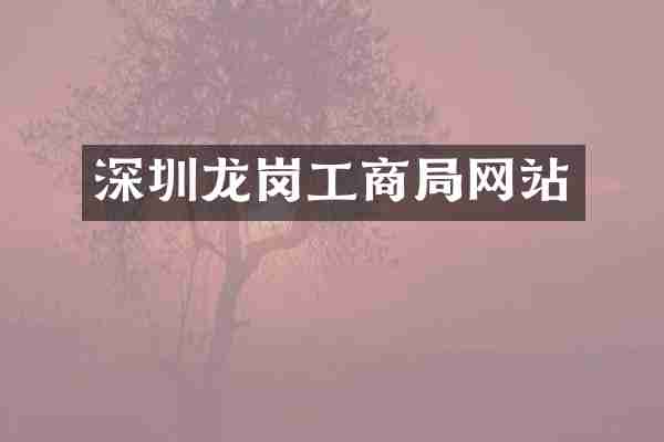 深圳龙岗工商局网站