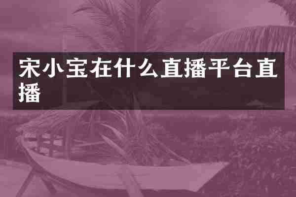 宋小宝在什么直播平台直播