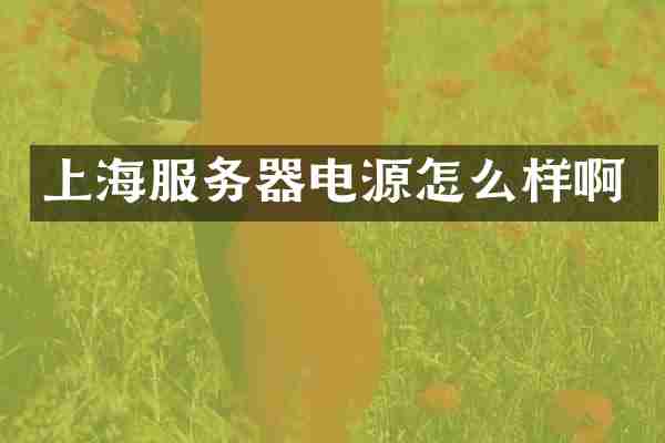 上海服务器电源怎么样啊