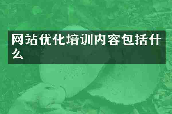 网站优化培训内容包括什么